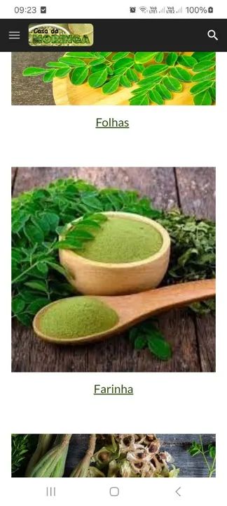 Casa da moringa Sementes e Farinha de Moringa - Foto 2