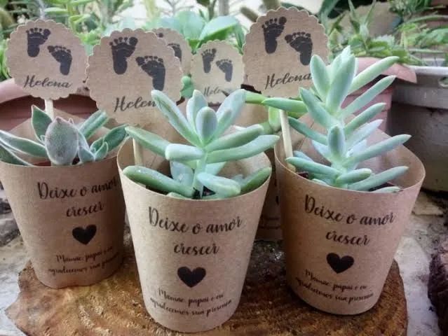 Mini Suculentas Personalizadas - Presentes Únicos <br><br>