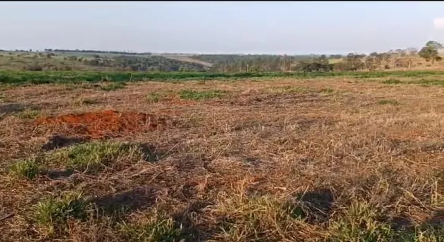 Luz/MG - Fazenda 50HA - R$70.000,00 o HA