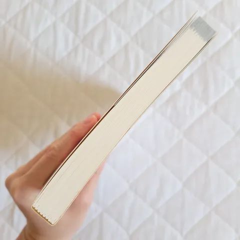 Livro Eneagrama Sua Dose Diária  - Foto 5