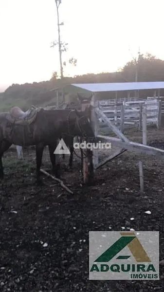 Chácara à venda 1 Quarto, 840000M², Zona Rural, Cândido de Abreu - PR - Foto 2