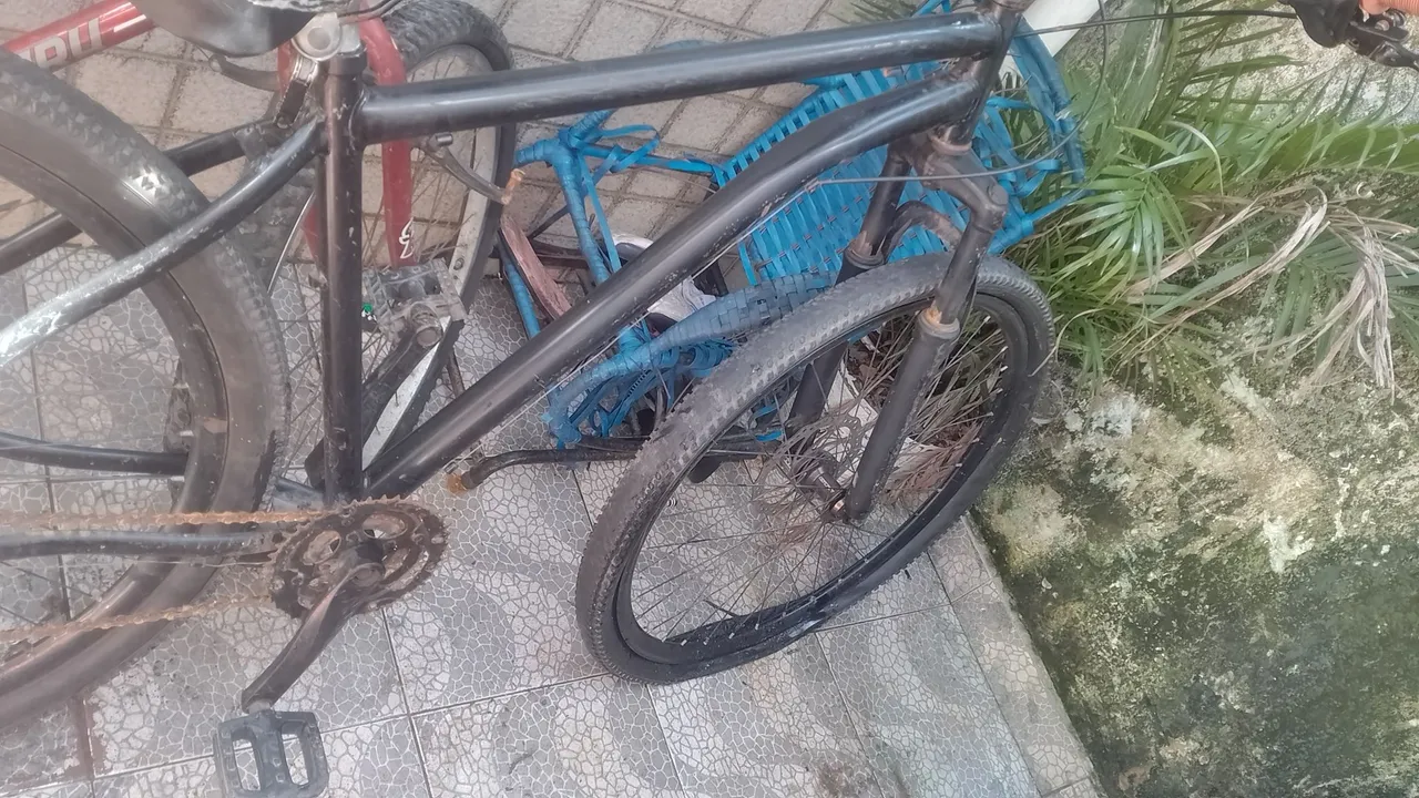 Bicicleta aro 29