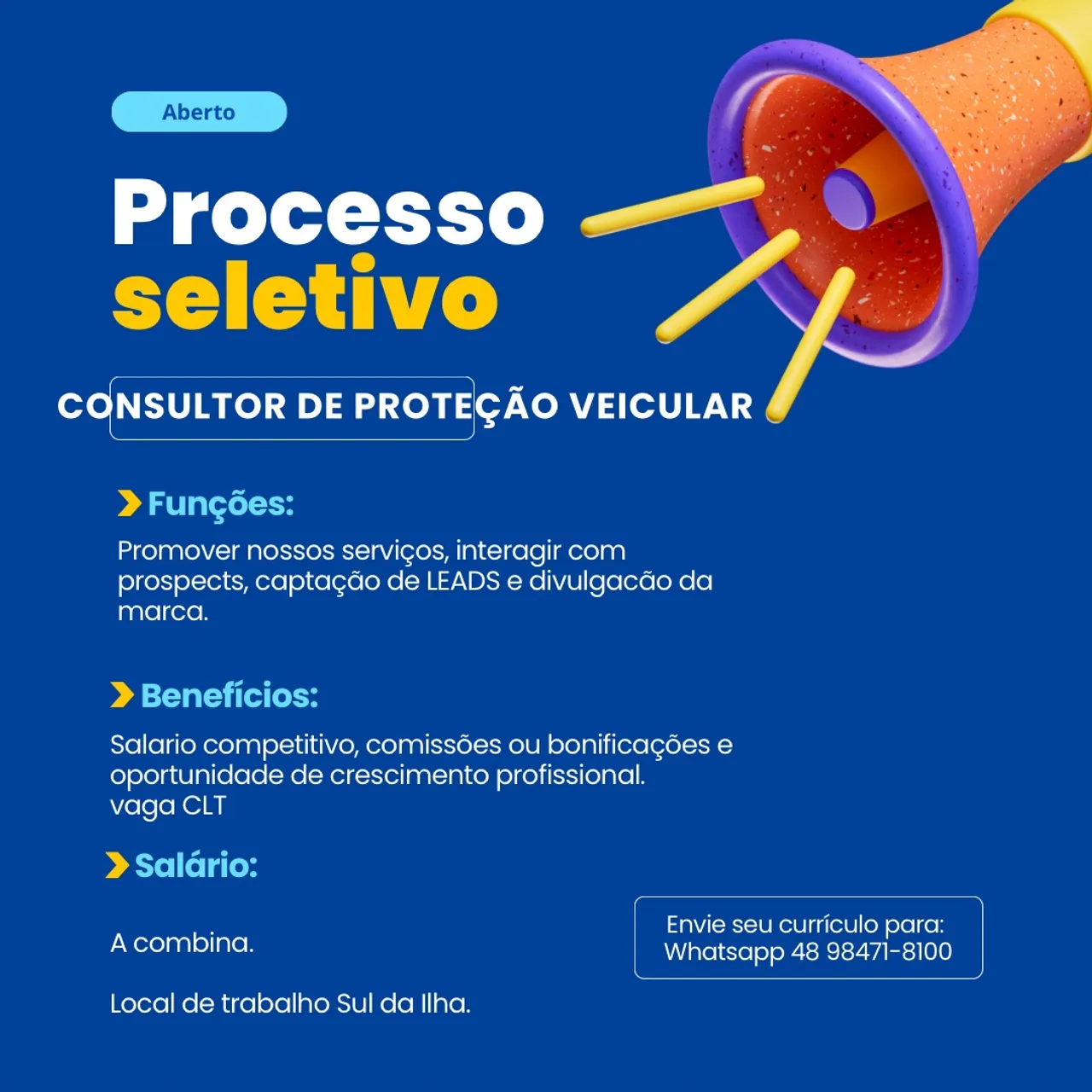 CONSULTOR DE PROTEÇÃO VEICULAR 