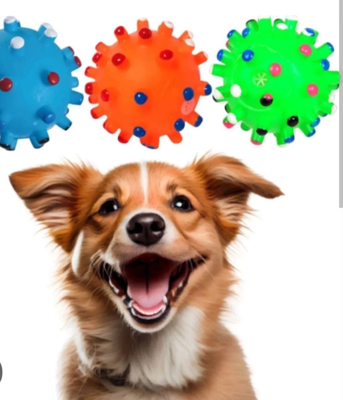 Mordedores para cachorro diversos 