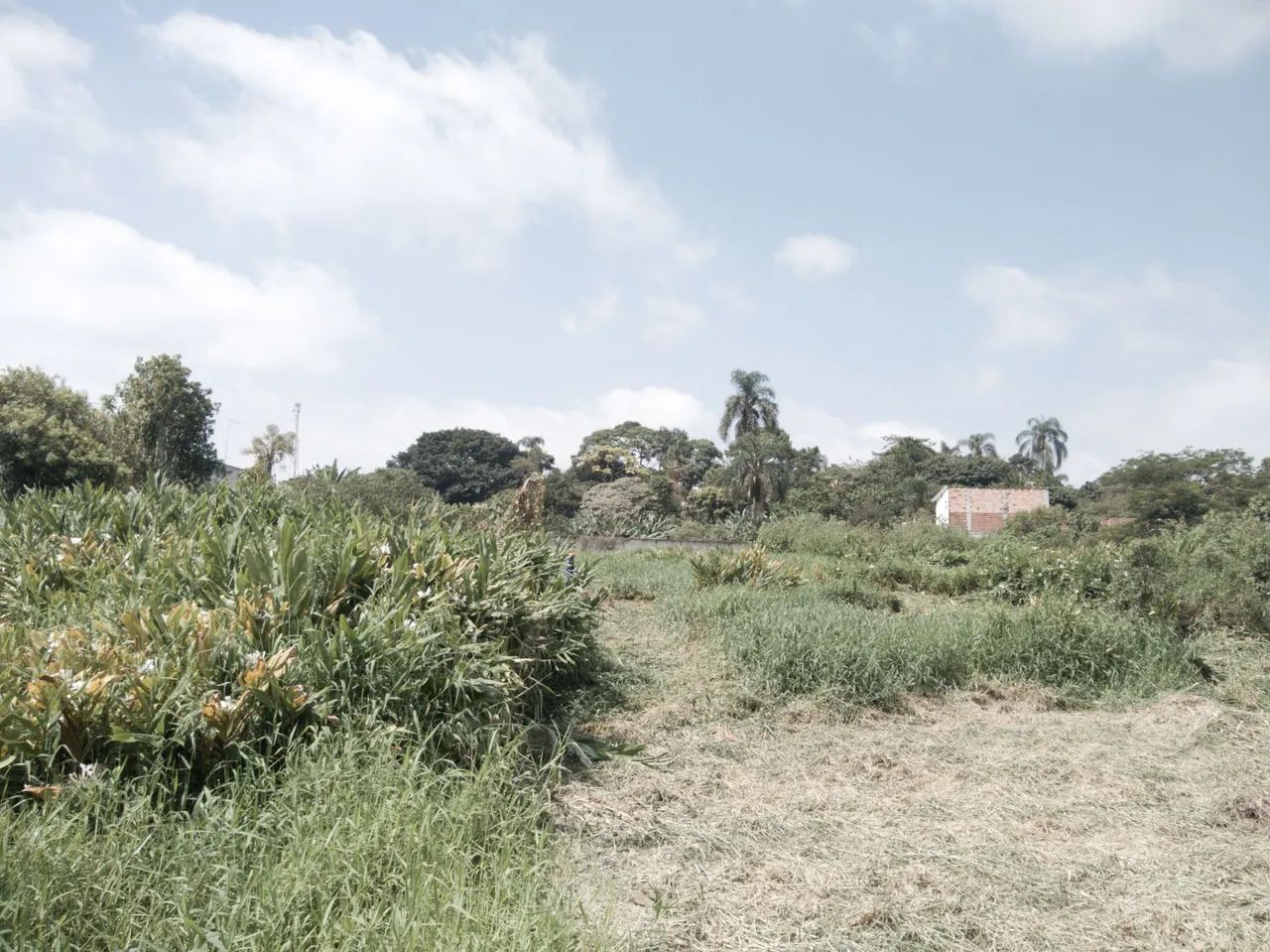 Limpeza Esgotos Drenagem * - Foto 4