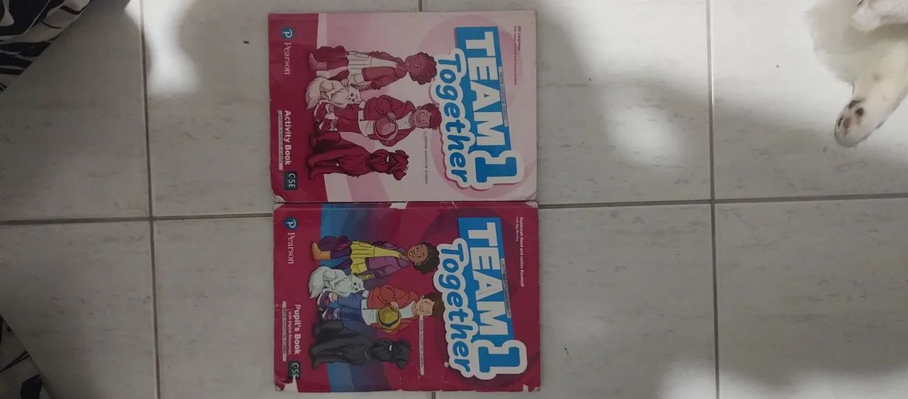 Kit Livro de Inglês Team Together 1