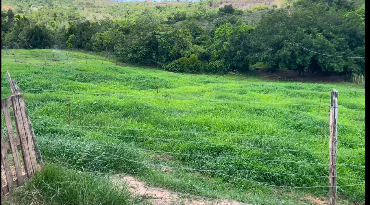 12 tarefas Itaporanga . Beira da pista