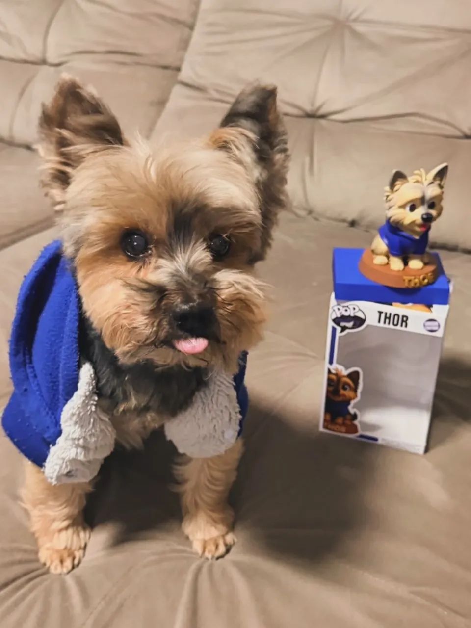 Miniatura Personalizada do Seu Pet64860947309954122