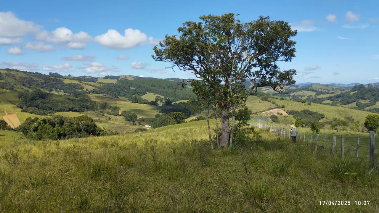 Sitio mantiqueira  - Foto 5