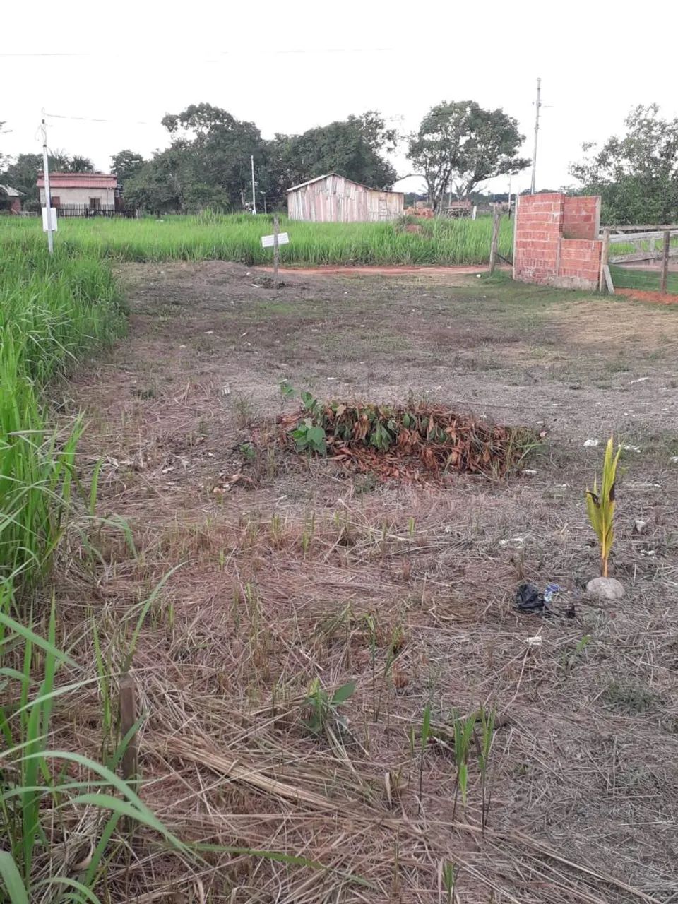 Terreno no vila acre - Foto 4