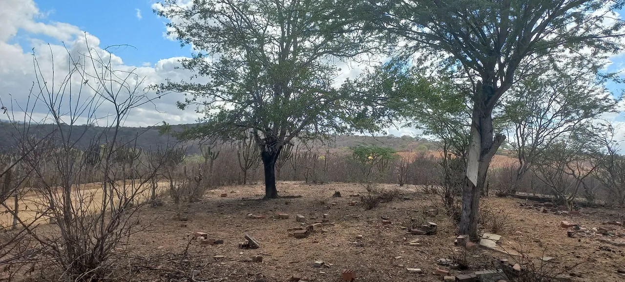 Vendo 5 hectares de terras em Solânea -PB