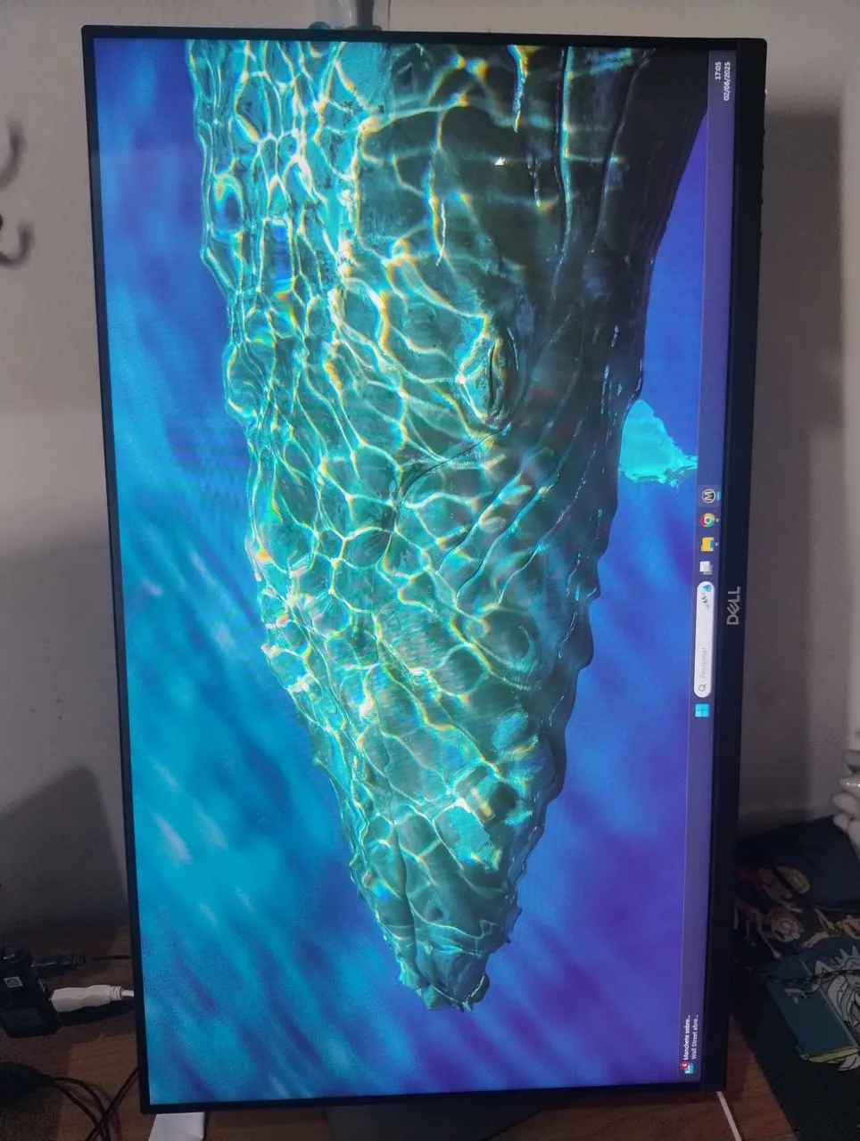 Monitor Dell