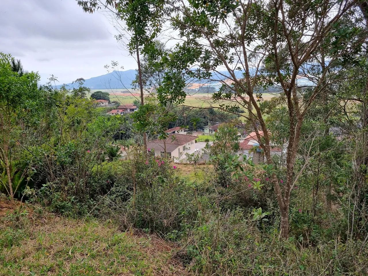 Sítio com 11 hectares I Estiva I Biguaçu - Foto 5