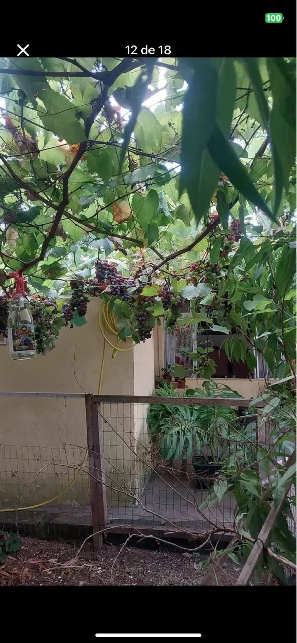 Foto - Porto Alegre - Rubem Berta