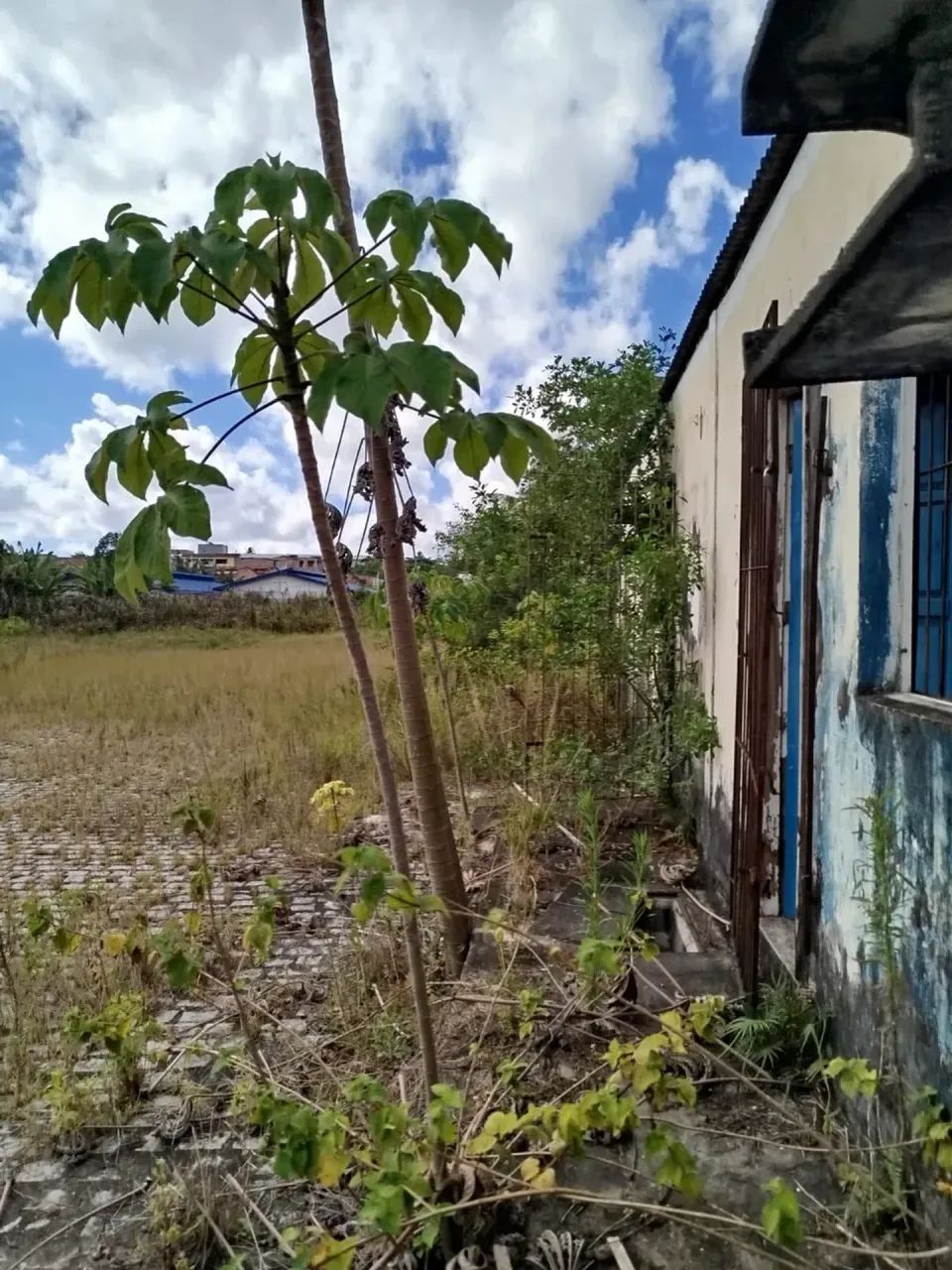 Área com 3.410m² em Nova Vitória - Camaçari - BA - Foto 2