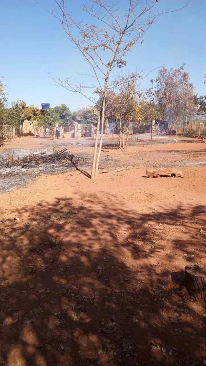 VENDO CHÁCARA EM GLAUCILÂNDIA  - Foto 4