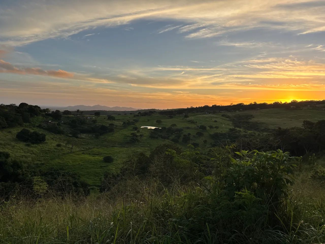 chácara 20x75 em Palmeira dos índios 1500m2  - Foto 5