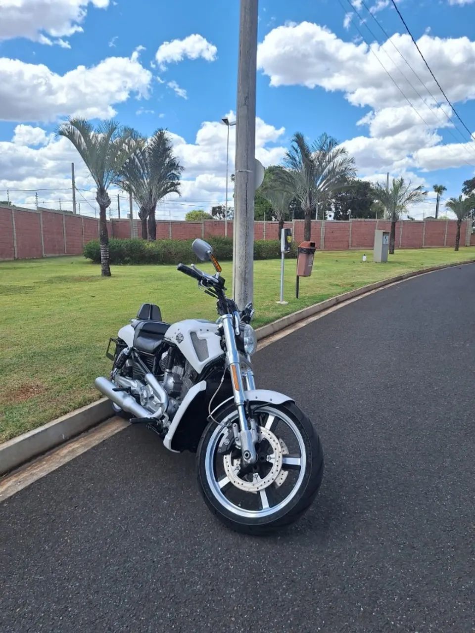 Harley Davidson V-Road Muscle Vrscf - Foto 4