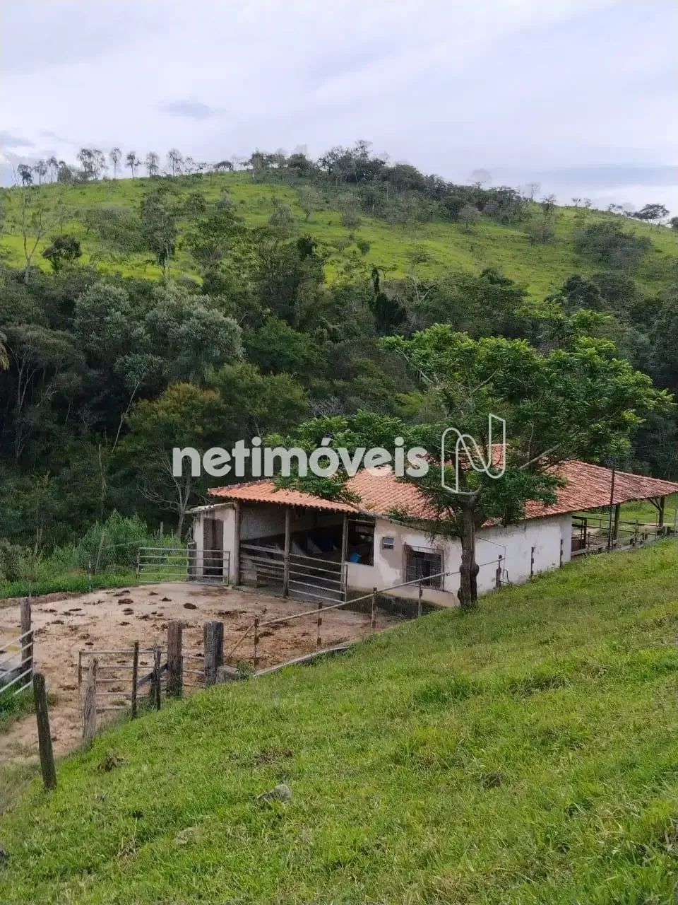 Venda Sítio Zona Rural Caeté - Foto 5