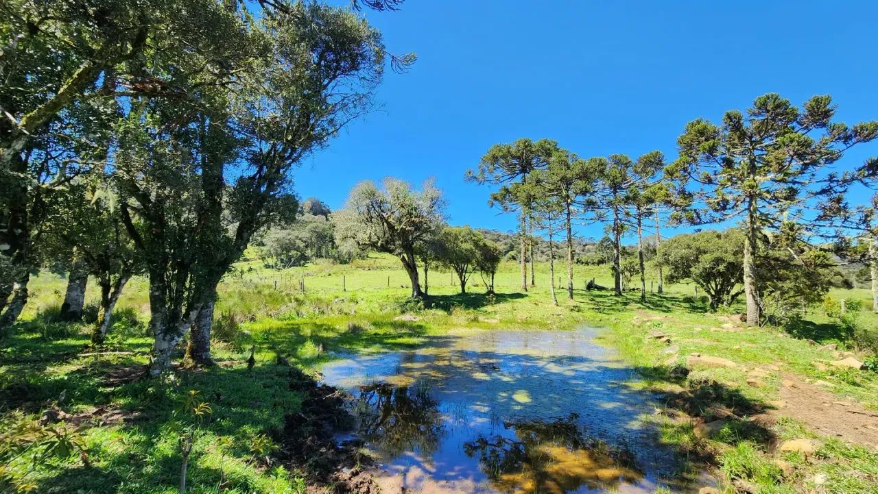 Terreno de altitude à venda em Urupema - Foto 2