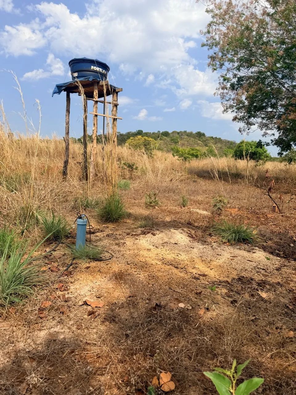 Chácara em Taquaruçu 3. Alqueres  - Foto 2