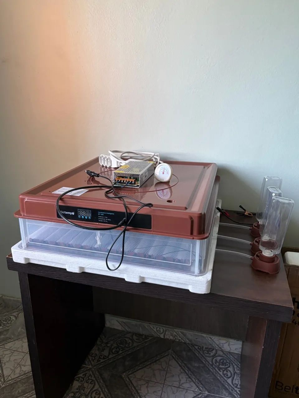 Chocadeira com 130 ovos  - Foto 3