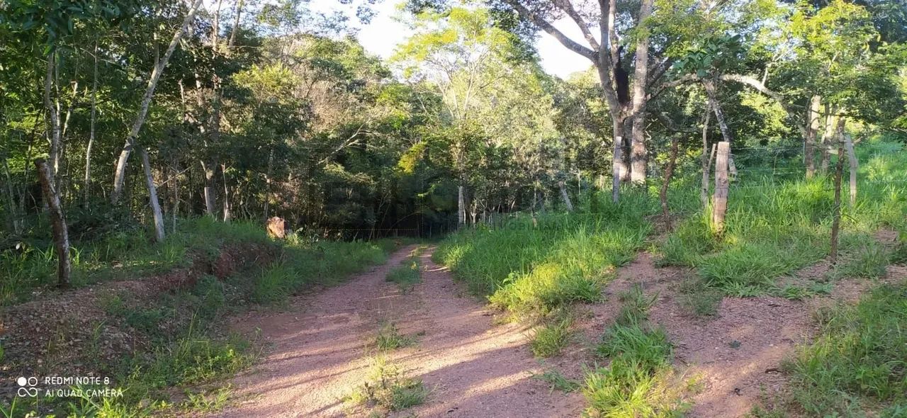 Chácara - Zona Rural - Abadiânia - Foto 5