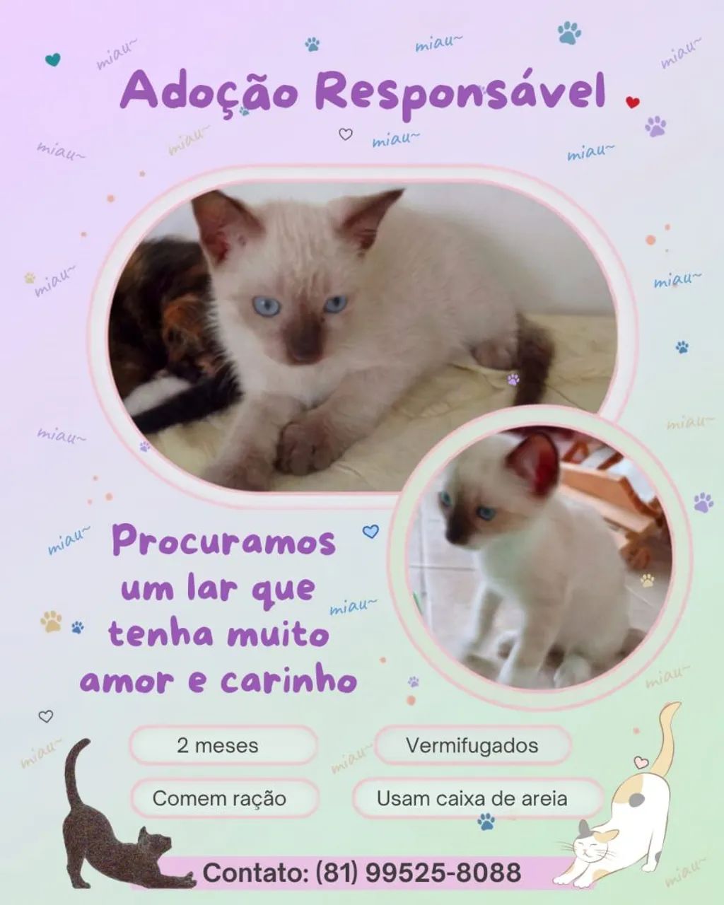 ADOÇÃO RESPONSÁVEL !!! - Foto 2