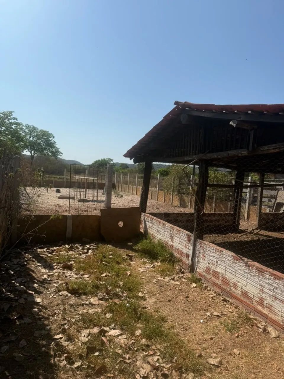 Fazenda em Altos/PI - Foto 5