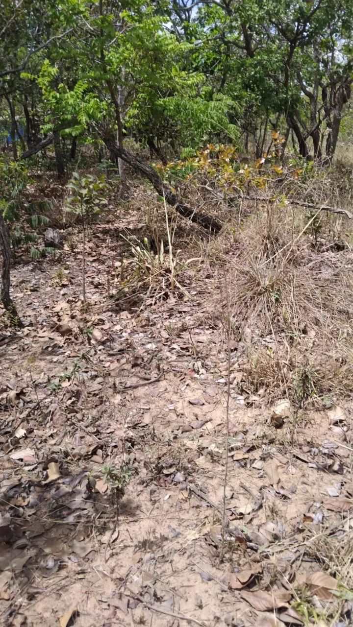 Terreno de 5.000 metros 