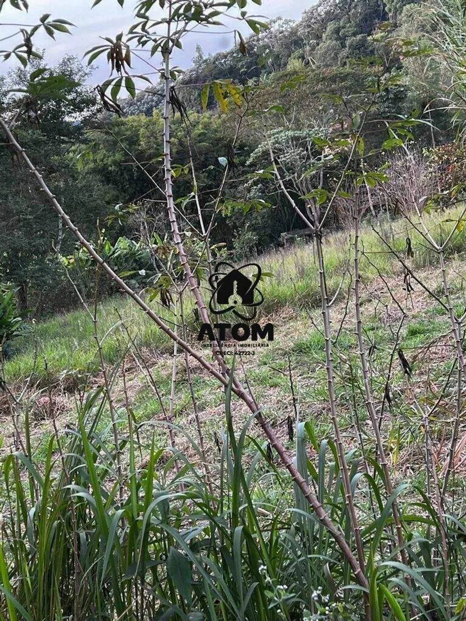 Chácara dos Sonhos em Redenção da Serra - Foto 4