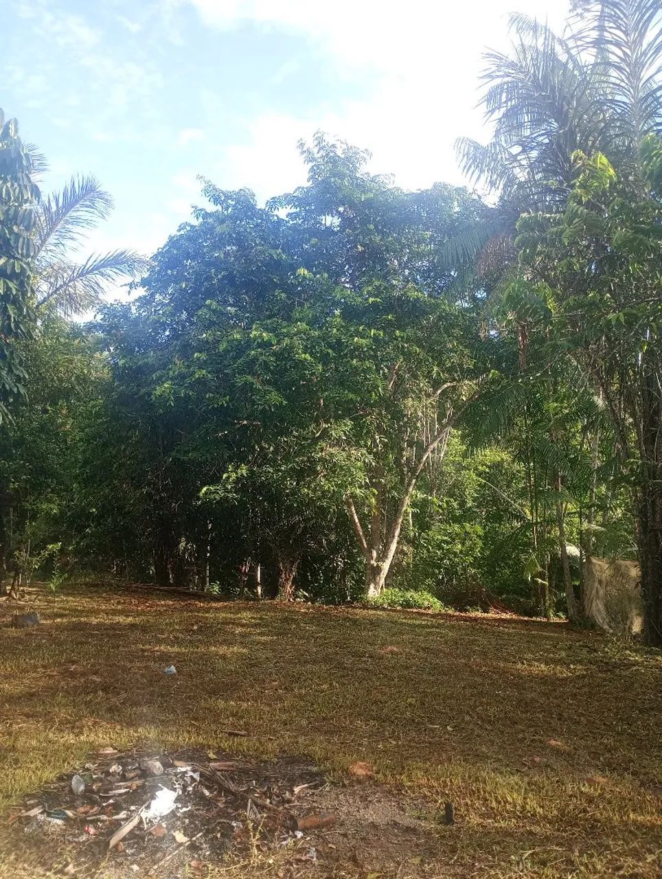venda - Foto 5
