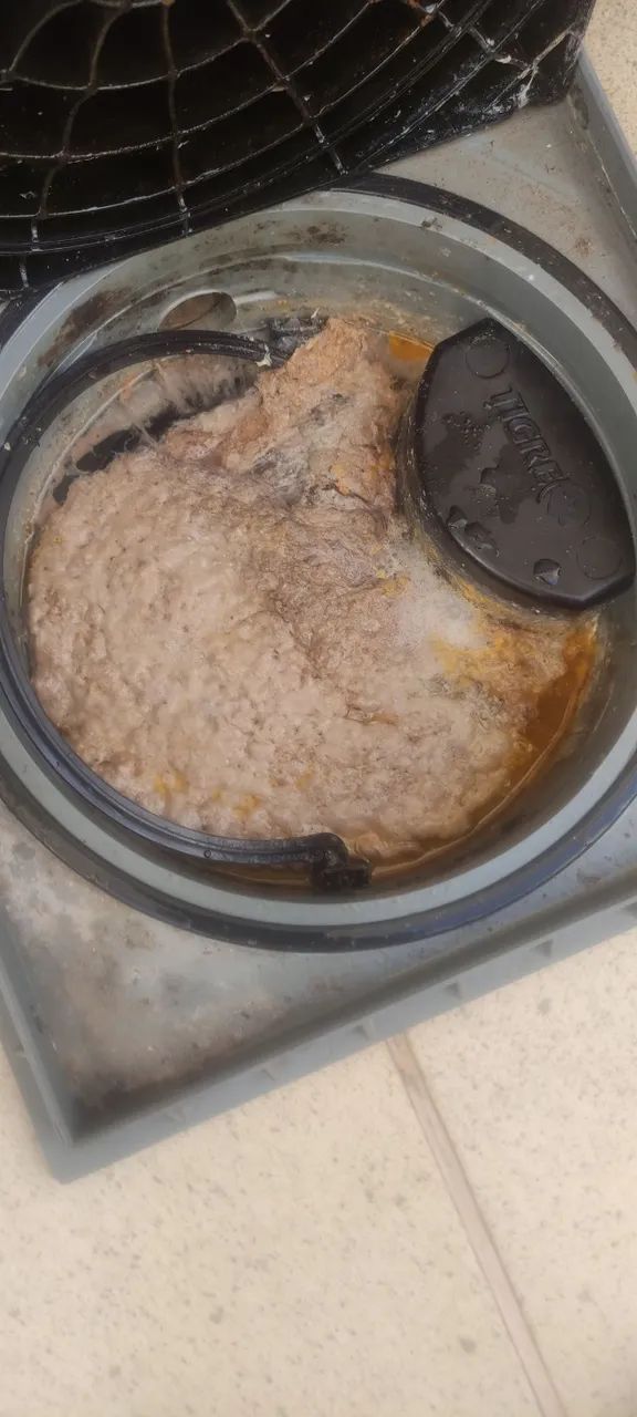 Limpeza de Caixa de Gordura Residencial e Comercial em Campinas - Foto 5