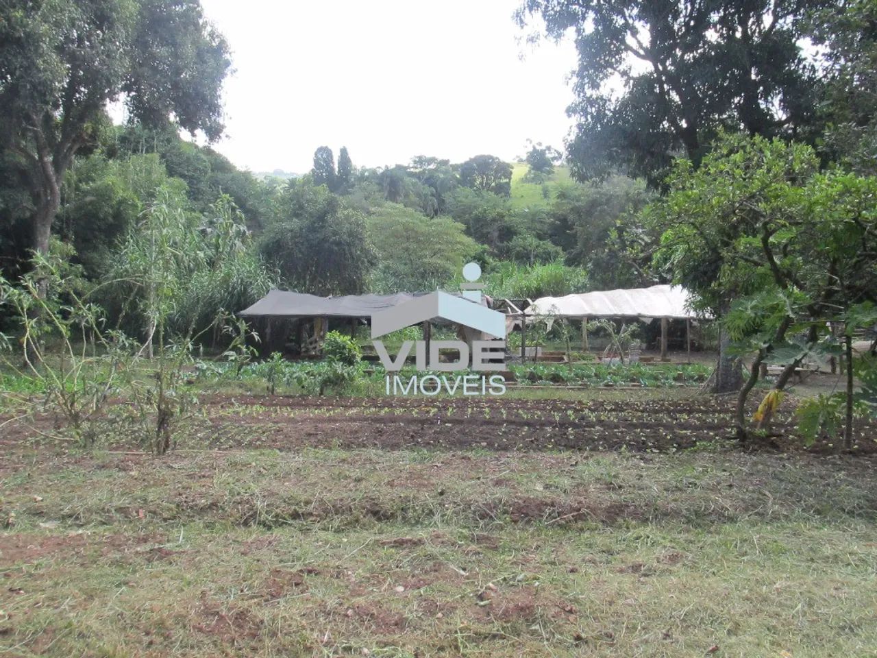 VENDO TERRENO EM CAMPINAS - SOUSAS - Foto 4