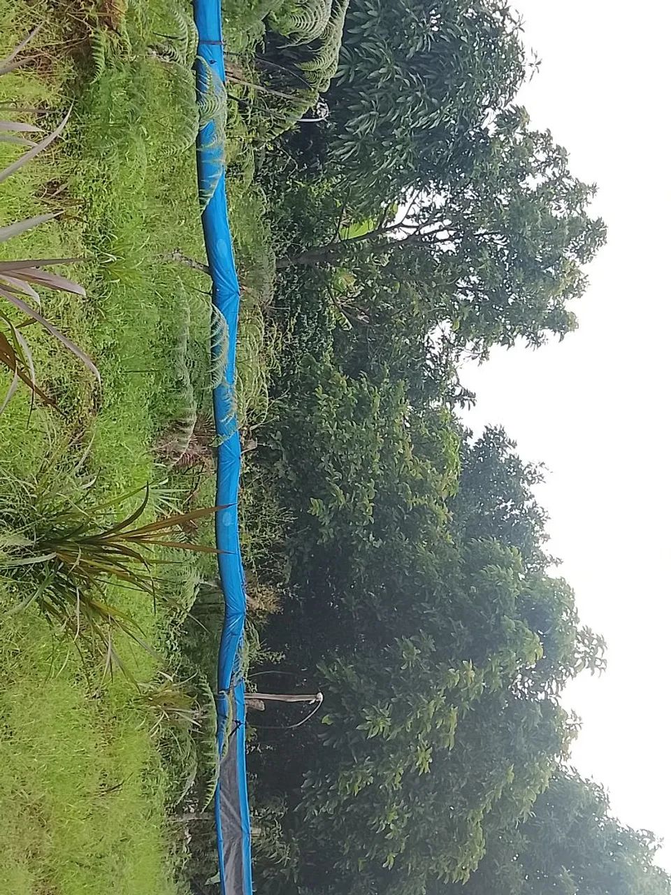 Foto - Ibicoara - 