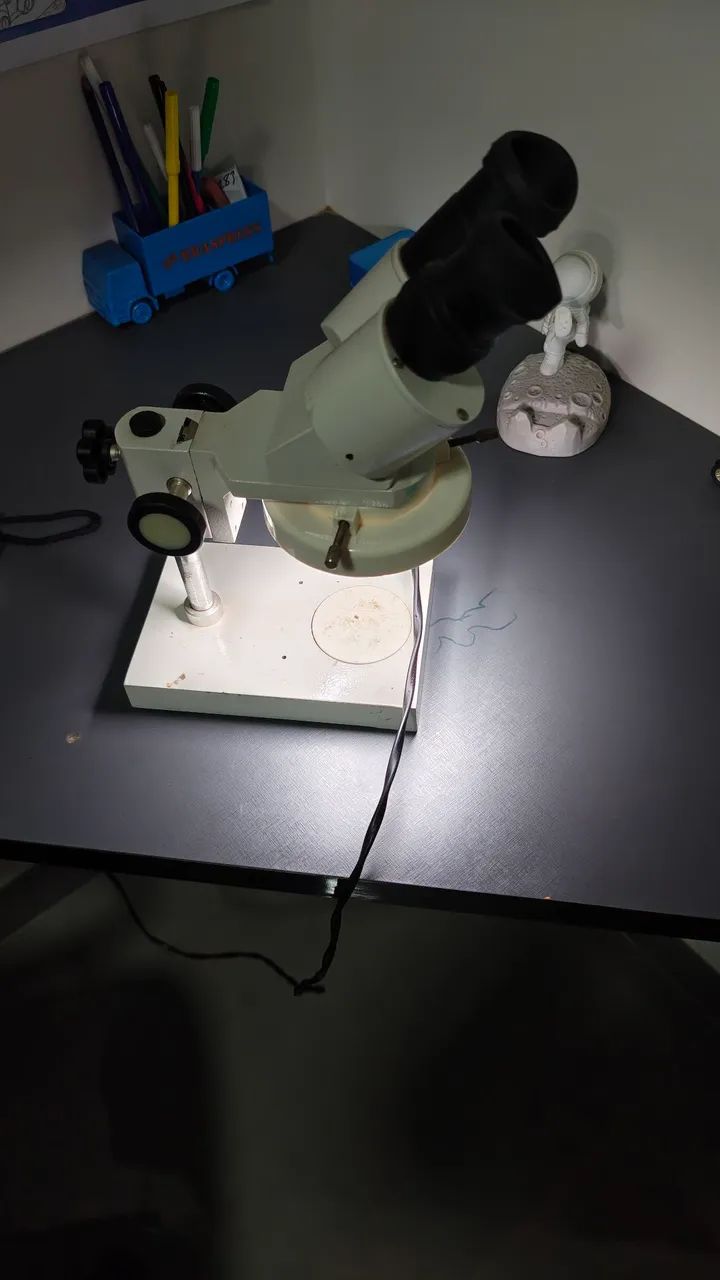 Microscópio binocular 