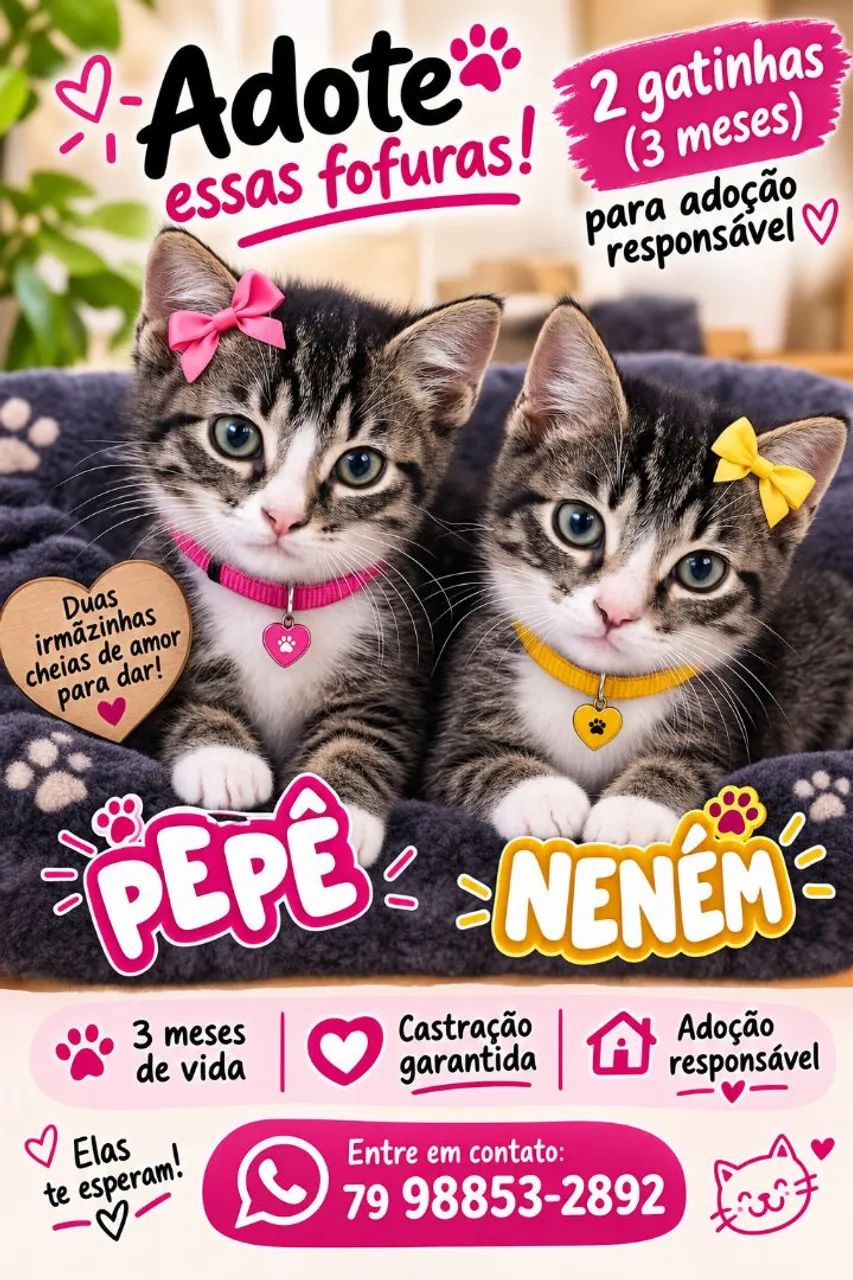  LINDOS FILHOTES