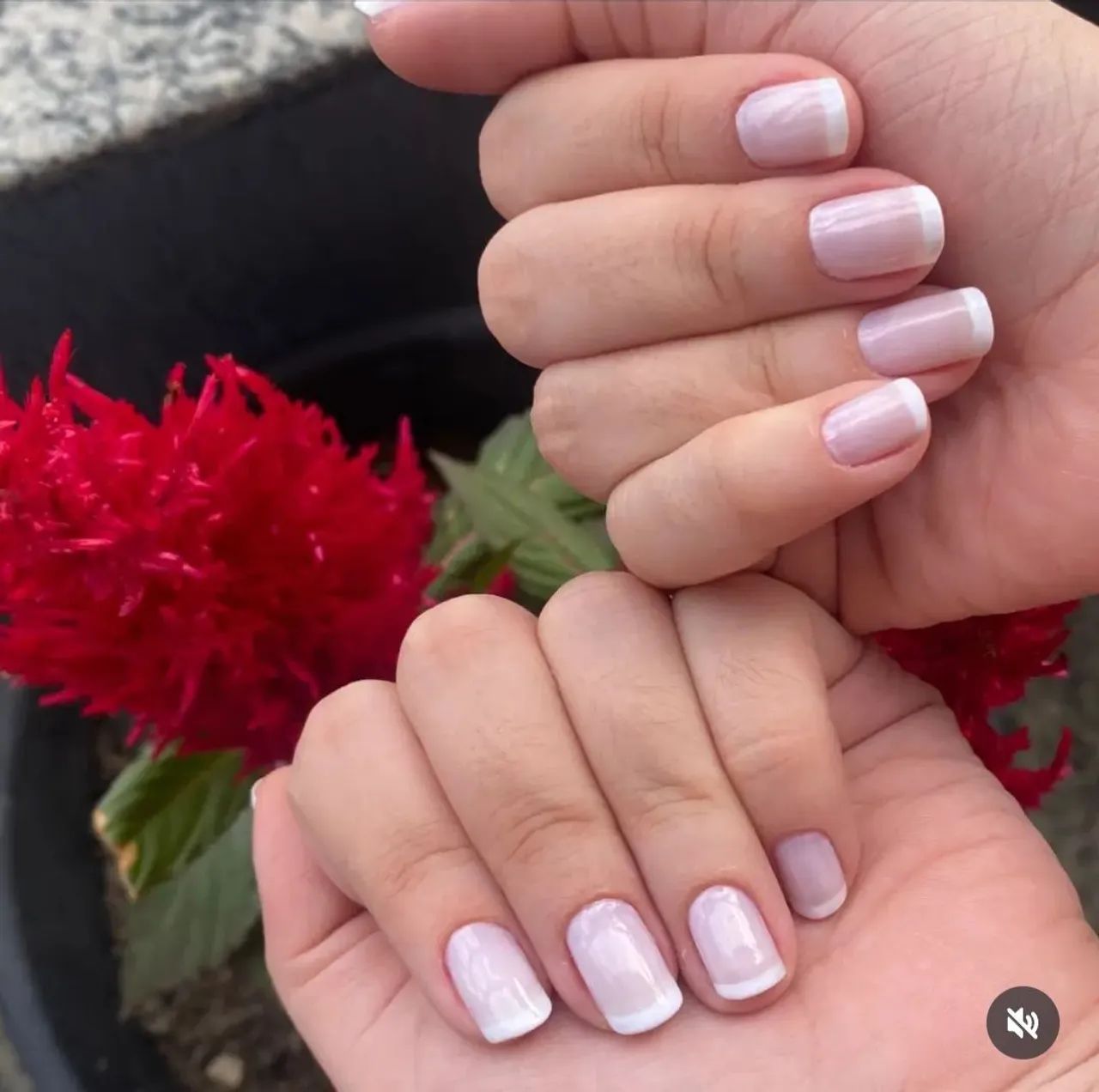 Manicure e pedicure delivery  - Foto 5
