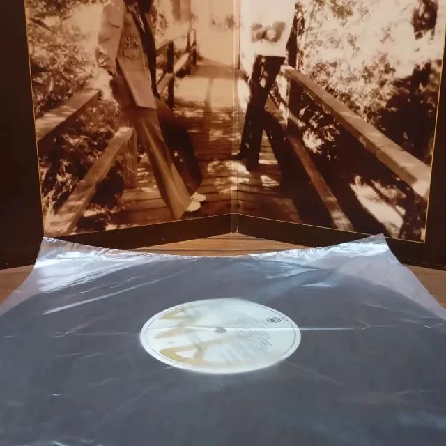 LP Vinil Carpenters - The Singles 1969-1973 - Foto 5