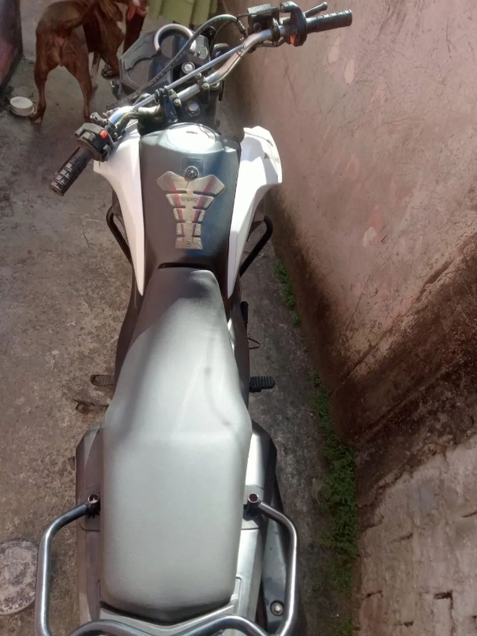 Shi175cc 