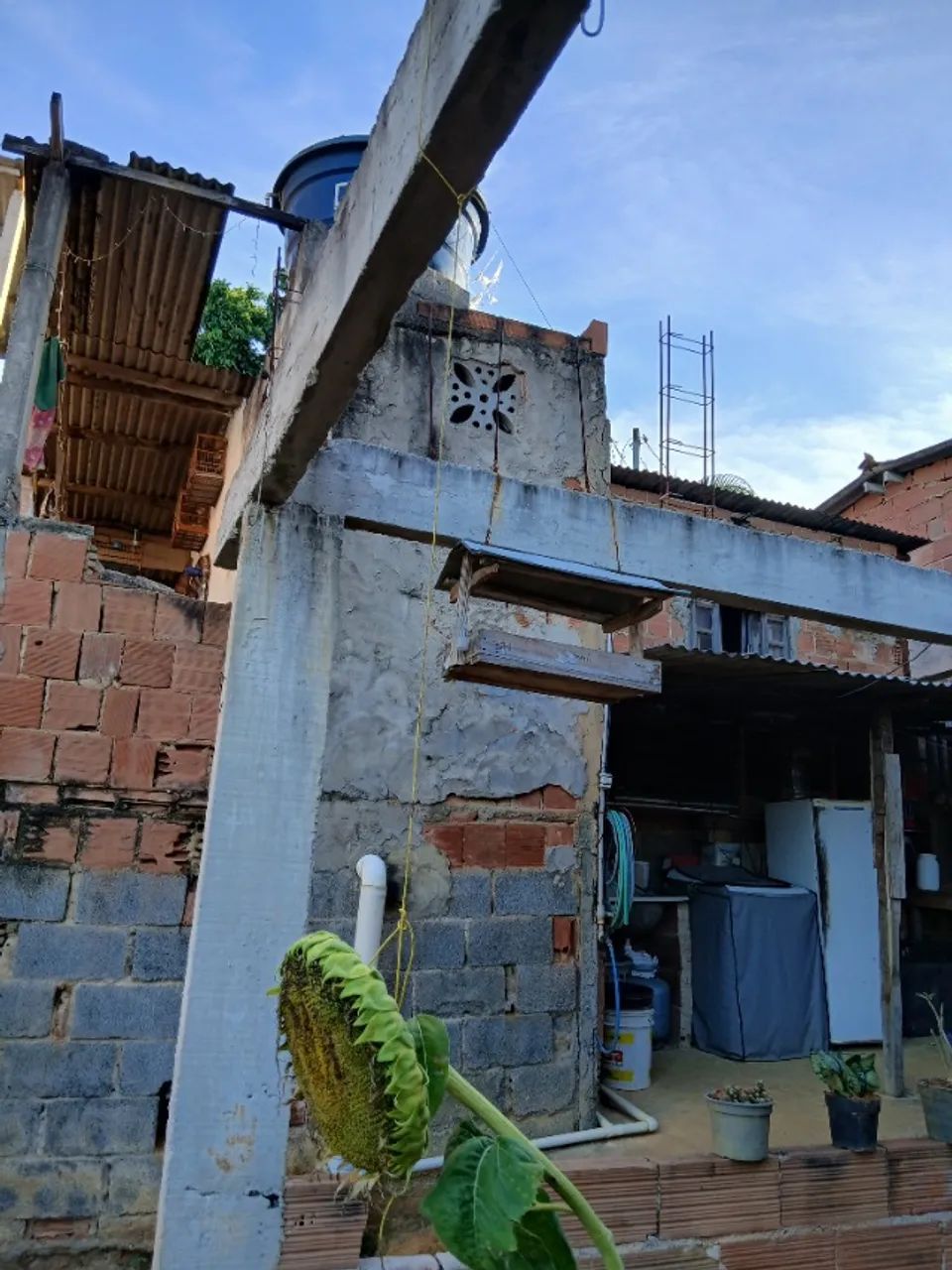 Foto - Viana - Nova Bethânia