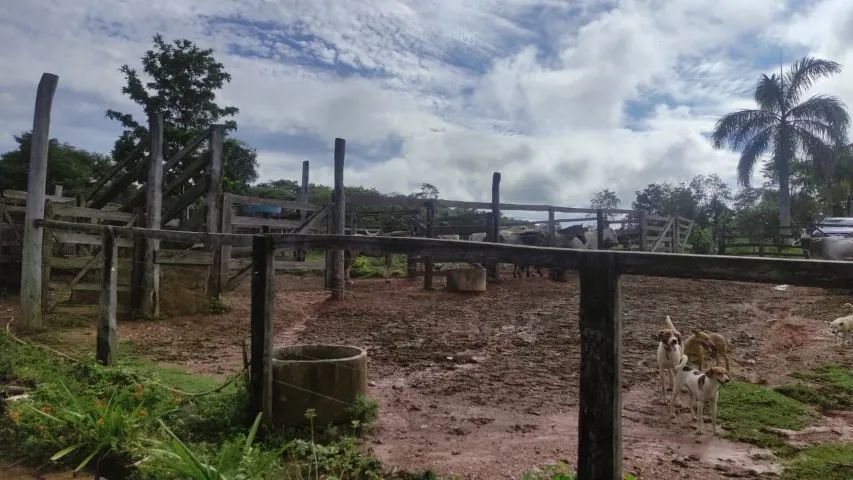 FAZENDA À VENDA - PADRE BERNARDO/GO 127 ALGUEIRES - Foto 5