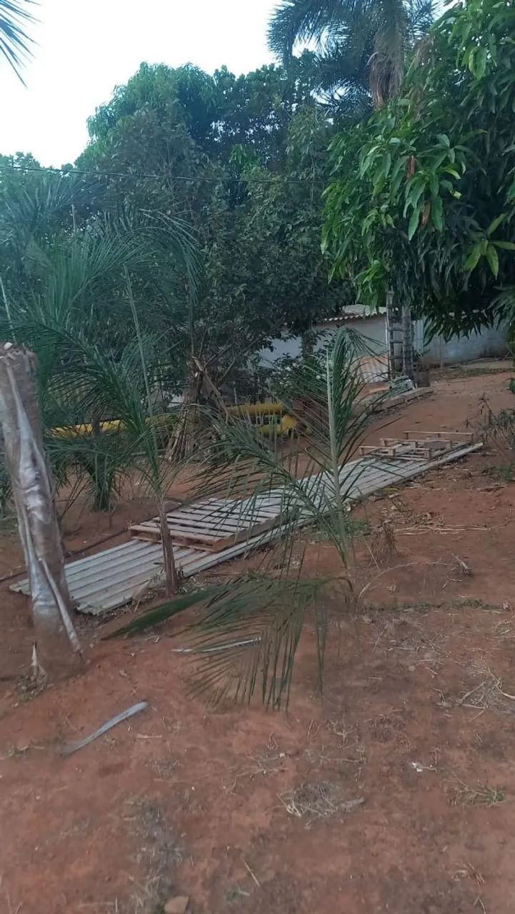 Chácara/Sítio  Excelente Oportunidade! - Foto 5