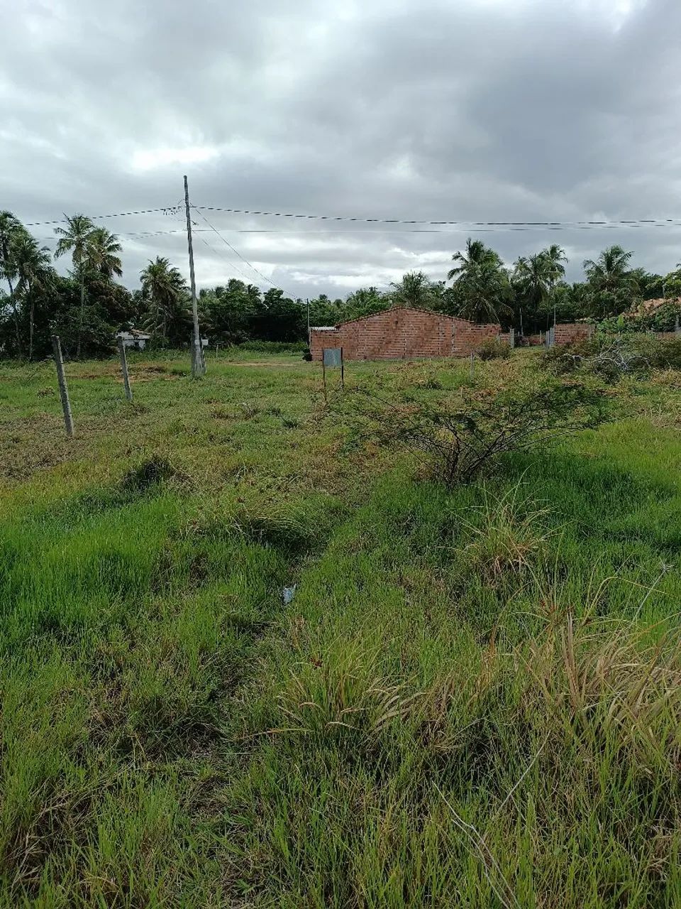 Lote terreno na praia da Caueira  - Foto 2