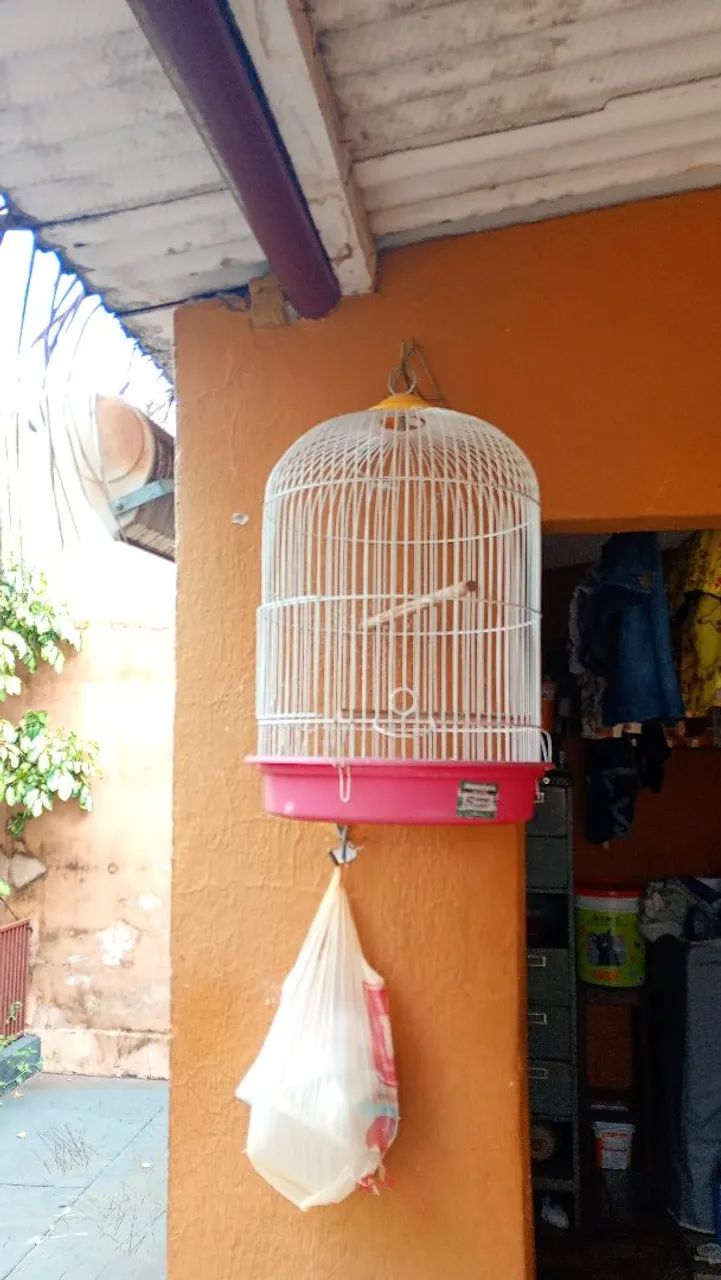 Viveiro e gaiolas - Foto 2