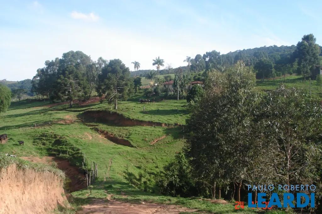 SÍTIO - CENTRO - MG - Foto 5