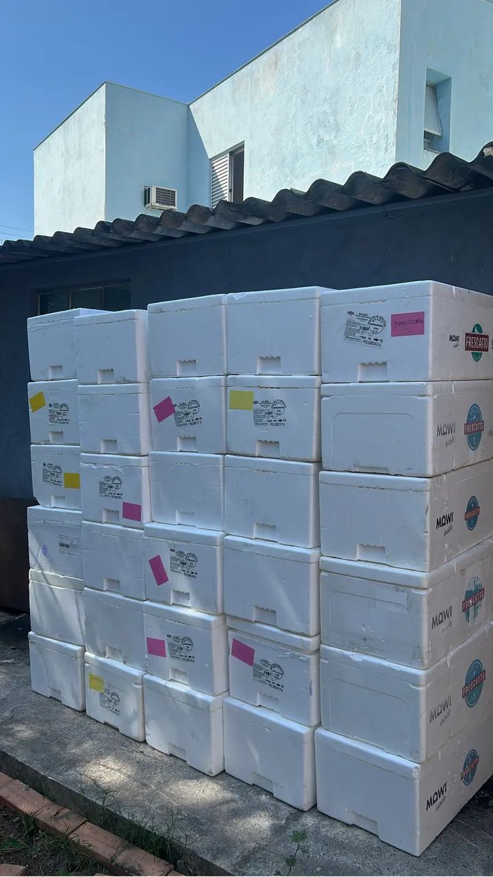 Caixas isopor  - Foto 4