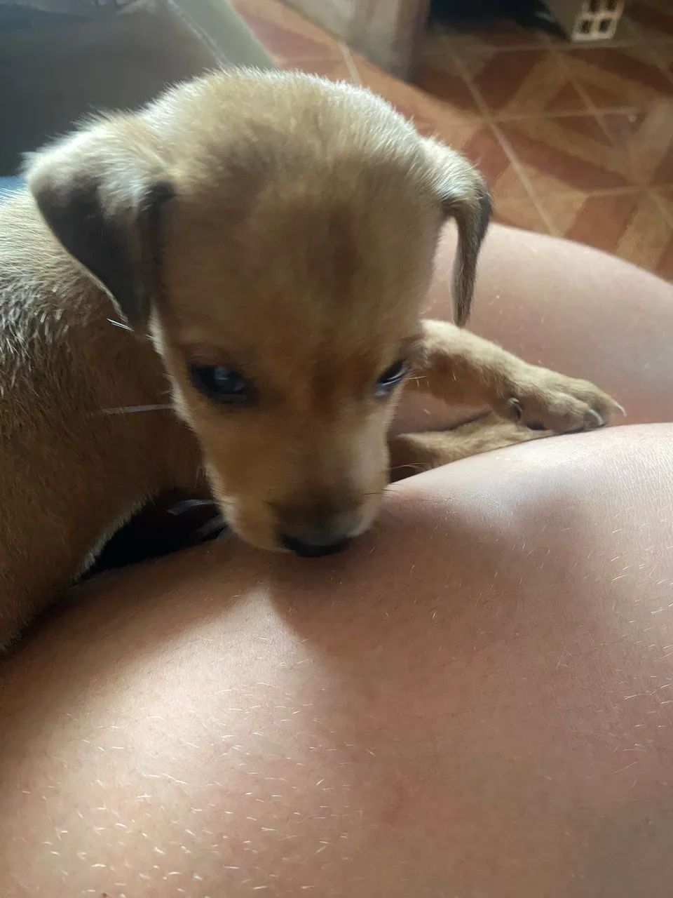 Doação  - Foto 2