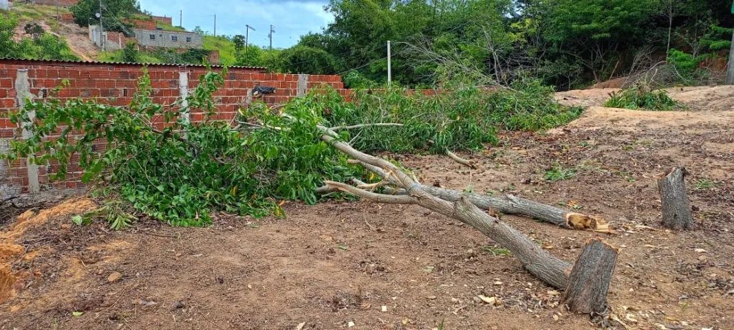 Terreno em Paripueira! - Foto 2