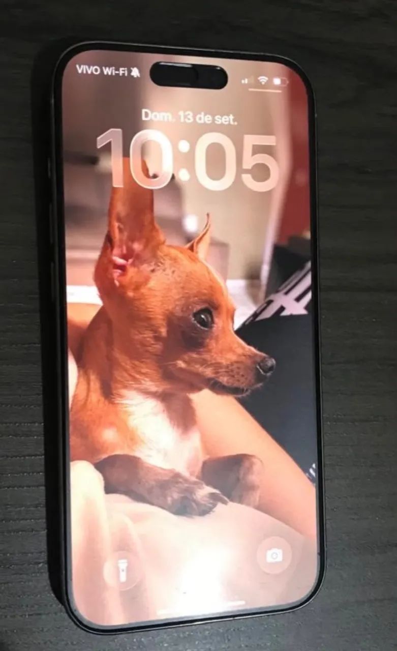 Celular Iphone
